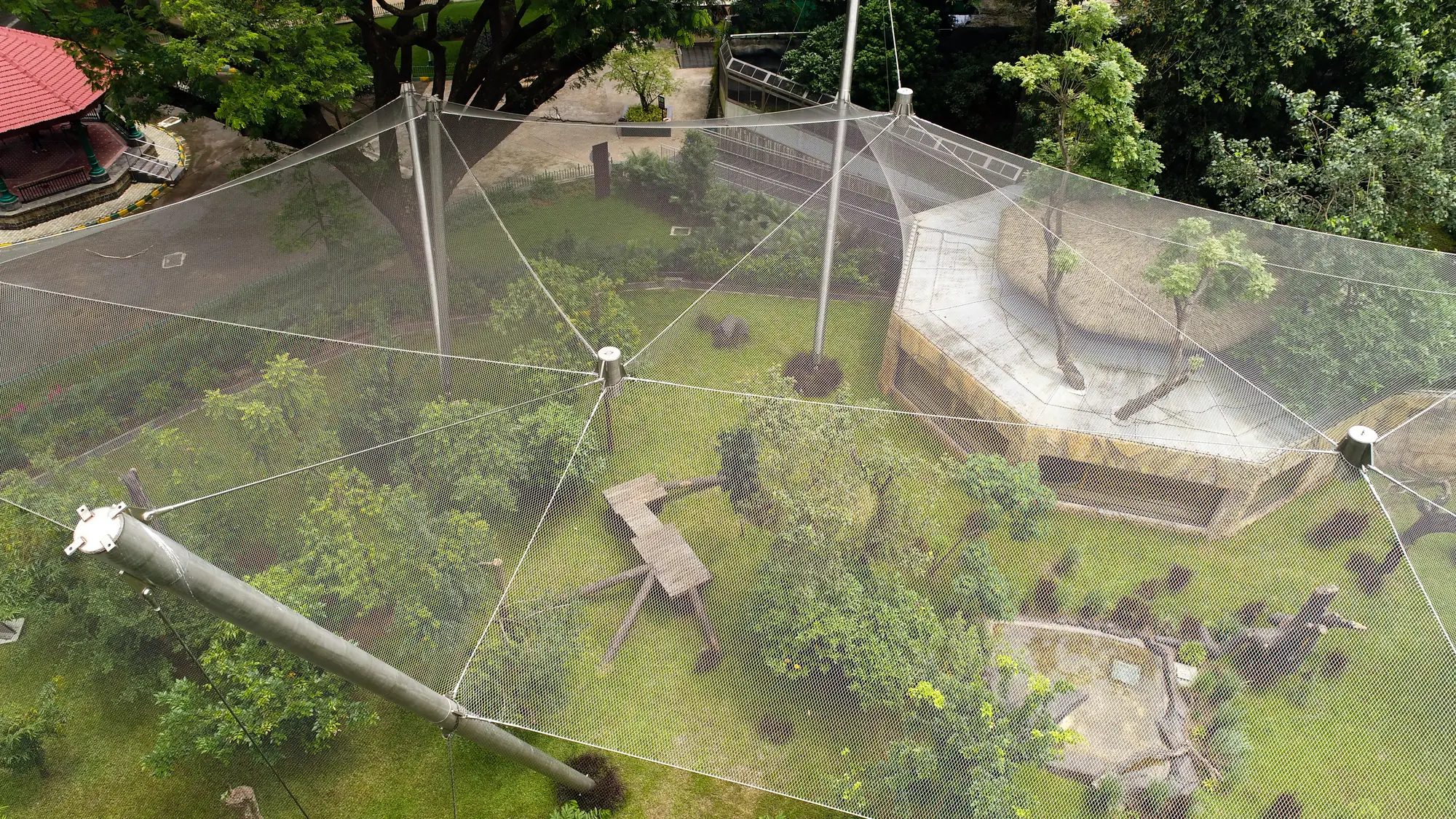 A tensioned canopy over a leopard habitat