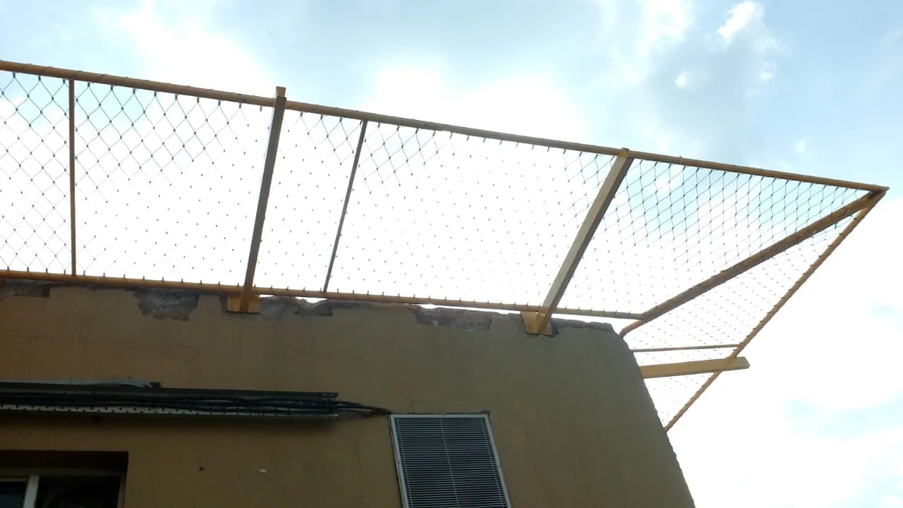 Debris, bird and sports nets