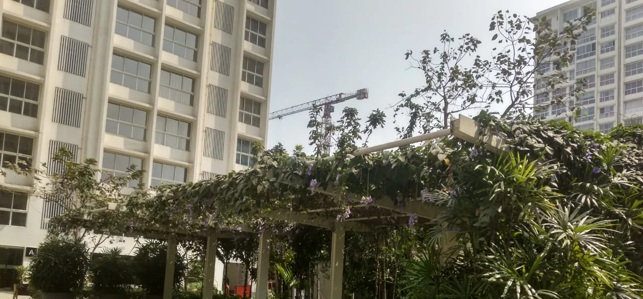 Green-canopy pergola, Godrej Properties