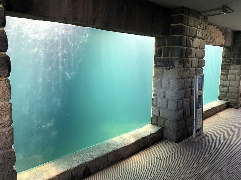 Underwater viewing window at an aquarium