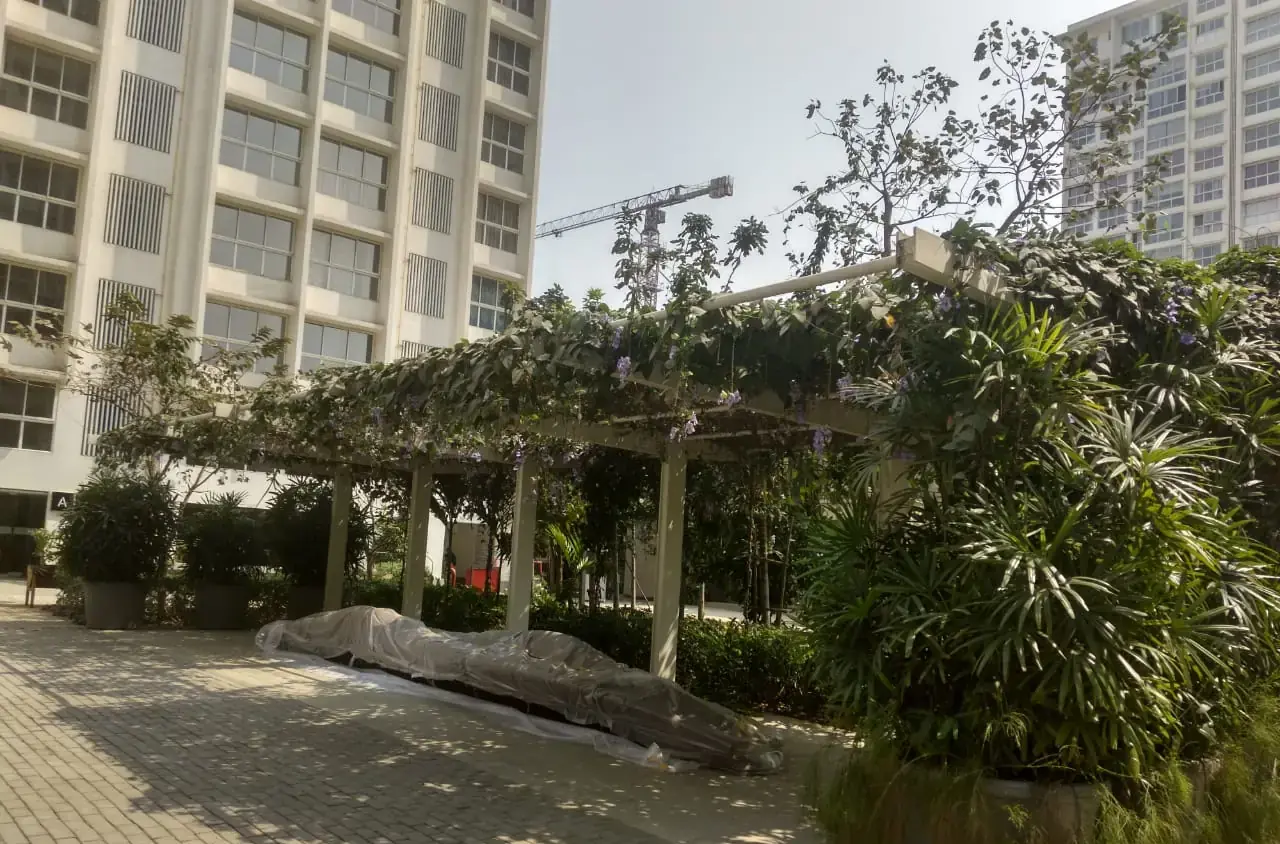 Green-canopy pergola, Godrej Properties