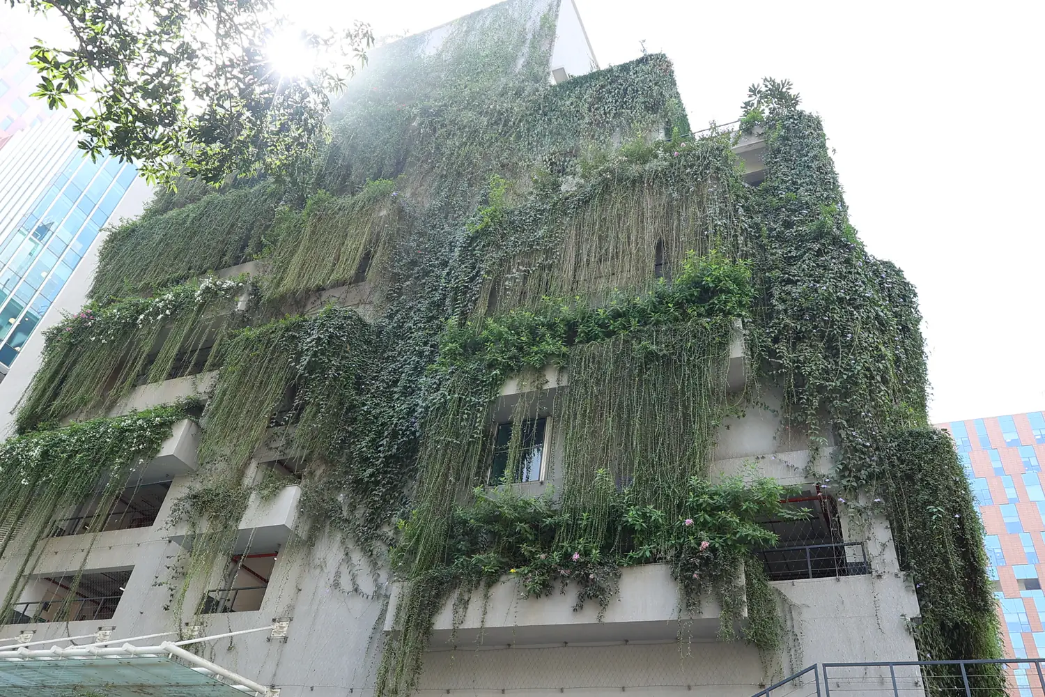 A green façade on an office campus